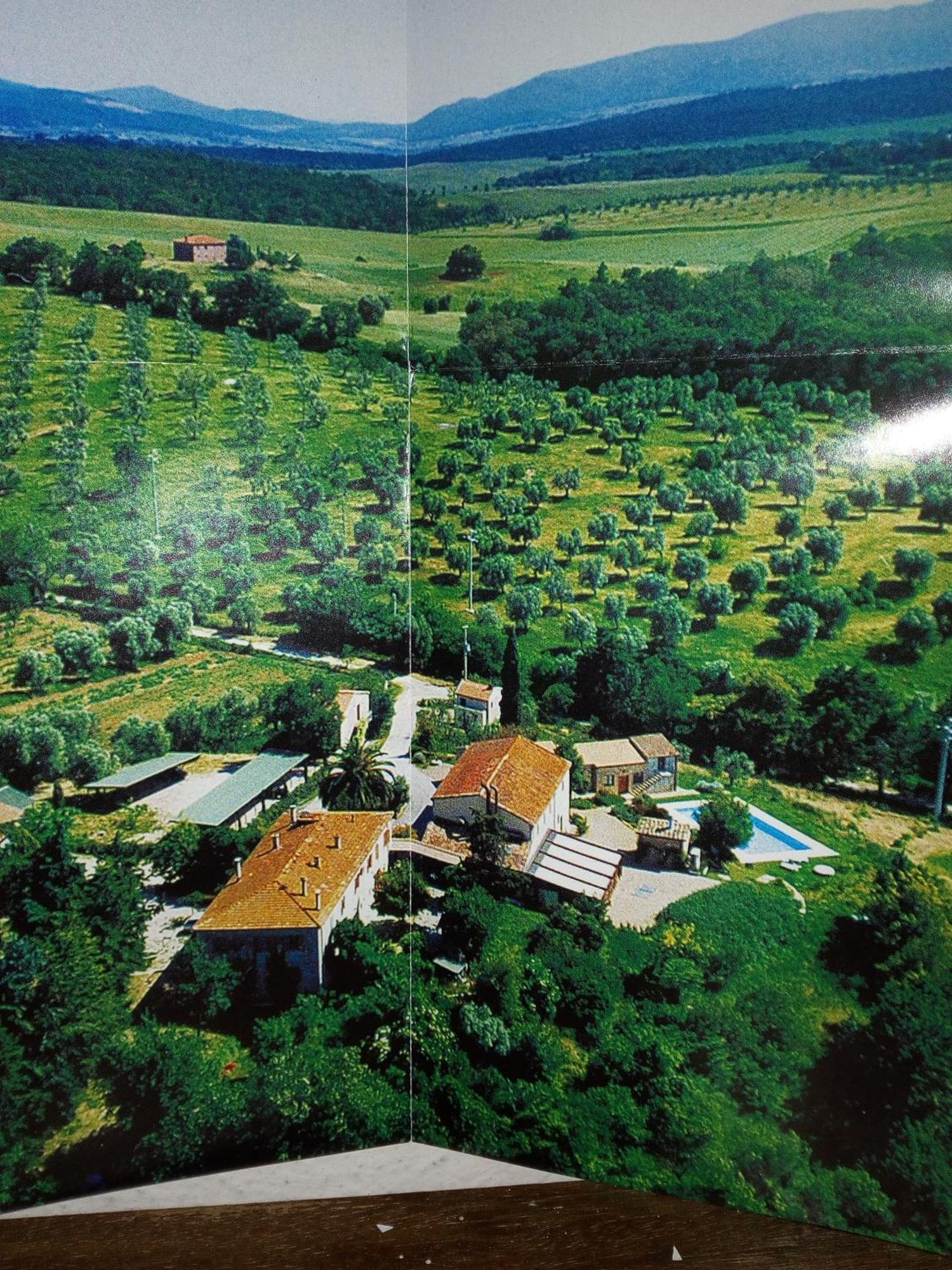 Case Cordovani Magliano in Toscana Exterior photo