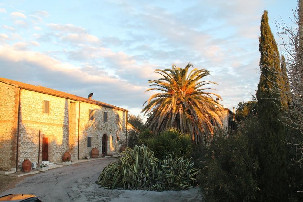 Case Cordovani Magliano in Toscana Exterior photo