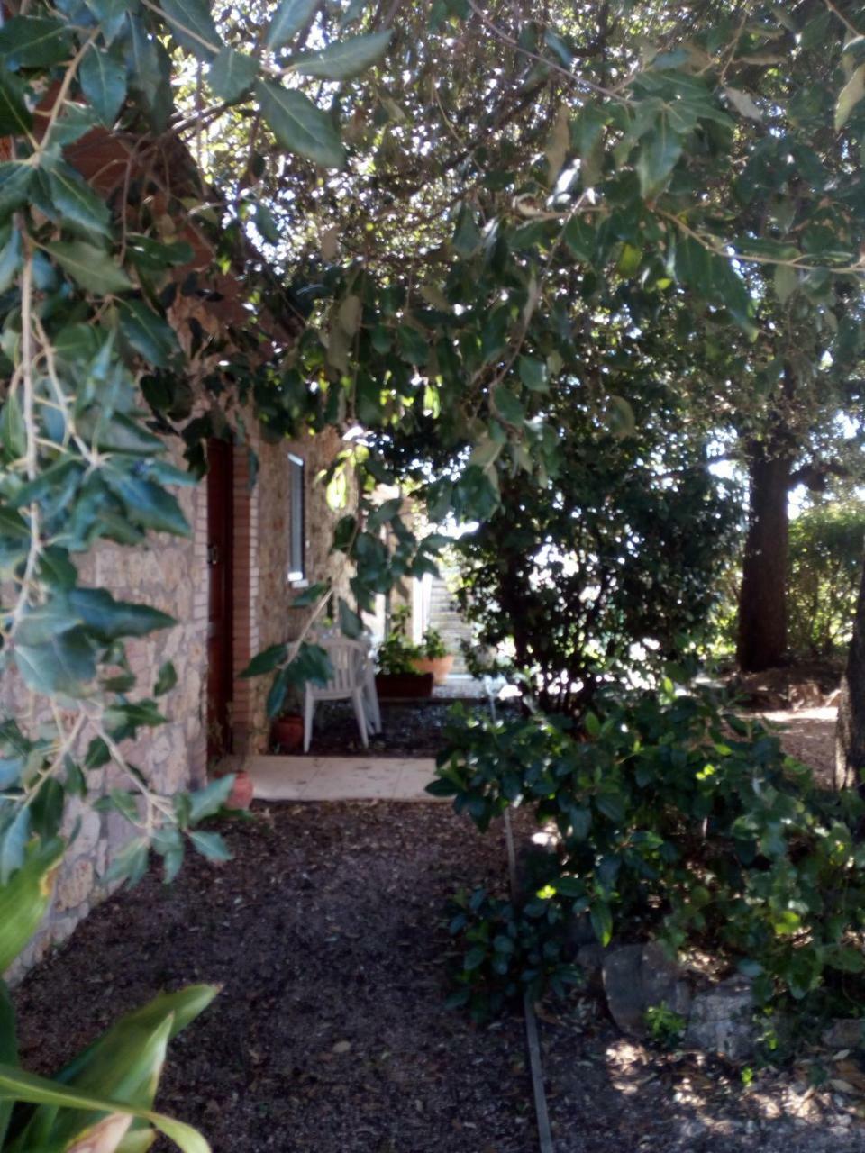 Case Cordovani Magliano in Toscana Exterior photo